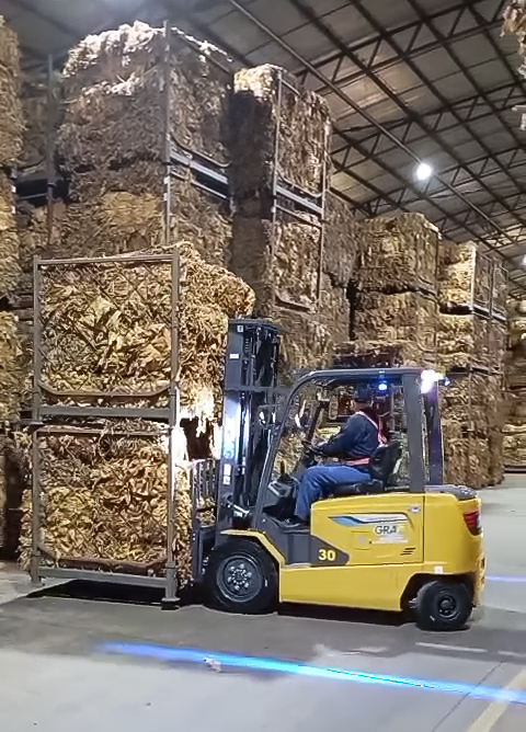 冰球突破mg鲲鹏电动叉车：烟草运输的安全高效新选择