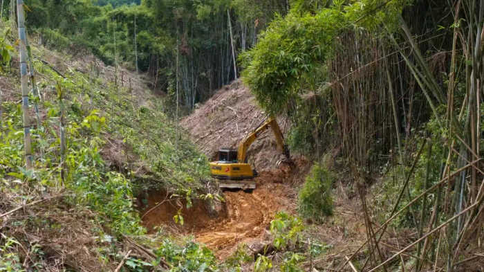 林间“藏龙”，竹海“卧虎”——冰球突破mg林业挖机广西侠客行
